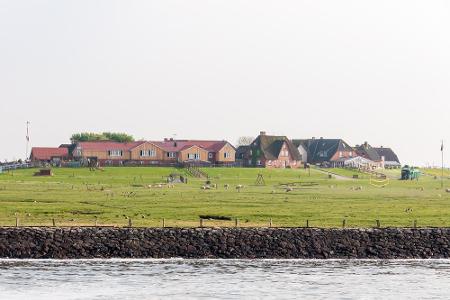 Auf Hallig Hooge kann es nicht schaden, eine Taucherausrüstung dabei zu haben. Wenn die Flut kommt, heißt es nämlich 