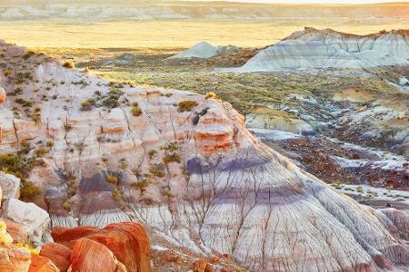 In der Painted Desert in Arizona ist der Name Programm: Die Badlands sind bei Fotografen sehr beliebt, denn die unterschiedl...