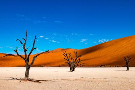 Wir bleiben in der Namib, die mit dem sogenannten Sossusvlei im Landesinneren kahler wird. Die von Sanddünen umschlossene Sa...