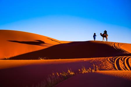 Wüste wie sie im Buche steht: Die Sahara bedeckt einen Großteil des nordafrikanischen Kontinents und erstreckt sich über zeh...