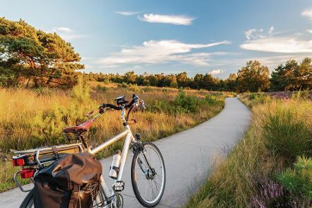 Sportbegeisterte können sich auf den Drahtesel schwingen und eine Fahrradtour machen. Vorbei an Windmühlen, bunten Blumenfel...