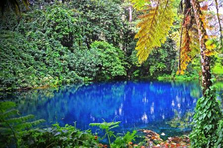 Wesentlich harmloser geht es am Nanda Blue Hole im südpazifischen Inselstaat Vanuatu zu. Klein und um die 10 Meter tief, lie...