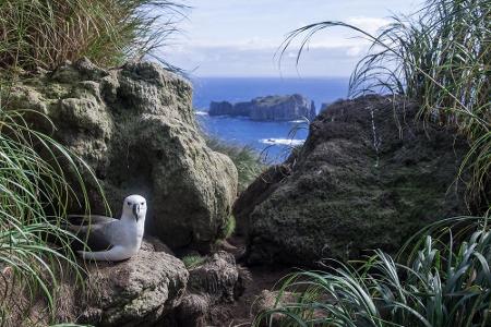 Mit dem schottischen Edinburgh hat das Dörfchen Edinburgh of the Seven Seas auf der Vulkaninsel Tristan da Cunha nicht viel ...