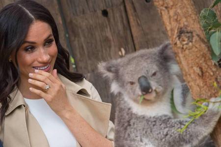 Im Oktober brachen Meghan und Harry zu einem Trip nach Australien und Neuseeland auf: ihre erste große gemeinsame Auslandsre...