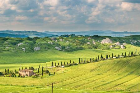 Getreidefelder der Crete Senesi in der Toskana bei Siena im ...