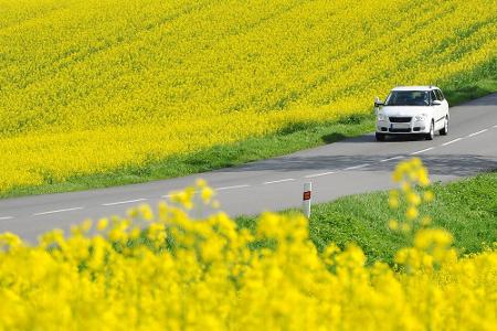 Eine landläufige Meinung ist, dass das Blühen der Rapsfelder Grund für die gelben Ablagerungen ist. Das ist allerdings nicht...