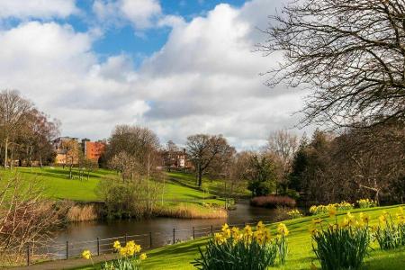 Mehrere hundert Rehe leben im Phoenix Park in Irlands Hauptstadt Dublin. Er ist mit 1.750 Hektar einer der größten Stadtpark...