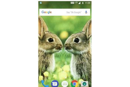 Die App bietet zahlreiche Hasen-Hintergründe für das Smartphone, die jeden noch so großen Ostermuffel in Stimmung bringen so...