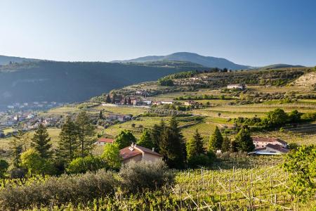 Bella Italia hat den beiden wohl ebenfalls nicht zugesagt: Im Weinanbaugebiet Valpolicella kauften Jolie und Pitt 2010 für 3...