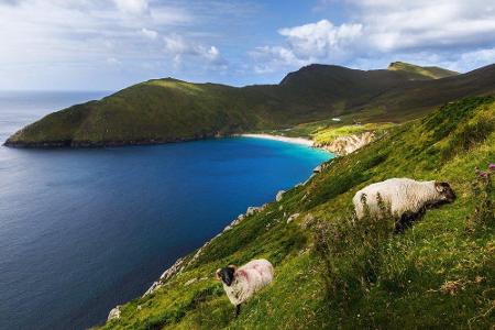 Auf Achill Island im Nordwesten Irlands kann man zwischen steilen Klippen und verlassenen Stränden die Seele baumeln lassen....