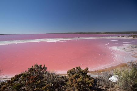 Der Lake Hillier liegt an der Westküste Australiens und verdankt sein knalliges Pink Bakterien und Algen, die sich in seinem...