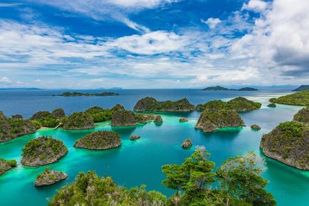 Beliebt und wunderschön ist auch Raja Ampat in Indonesien. Mit knapp 13.000 Fisch- und 550 Korallenarten sind die Riffs ein ...