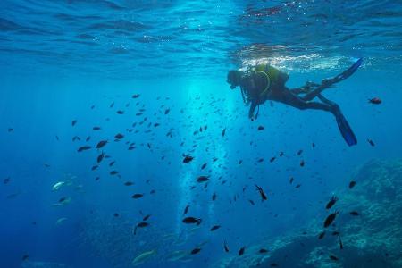Im Mittelmeer lässt es sich ebenfalls wunderbar tauchen. Die Medas-Inseln an der Küste der Costa Brava in Spanien warten mit...