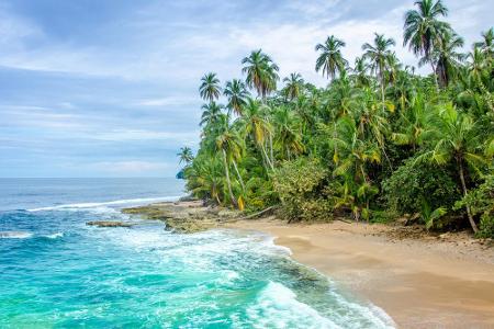 In Costa Rica gibt es kilometerlange Traumstrände mit schneeweißem Sand. Hier schlägt das Herz eines jeden Badeurlaubers höh...