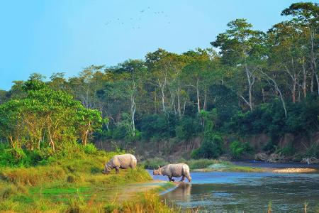 Die Tiefebene Terai zählt zu den schönsten Gegenden der Welt. Hier gibt es auch den Chitwan-Nationalpark, indem Nashörner, E...