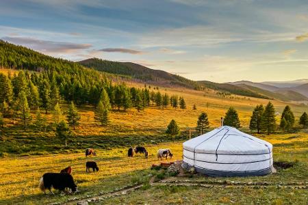 Die Mongolei ist eines der am dünnsten besiedelten Länder der Welt. Vor allem für längere Trekking-Touren bietet sich das La...