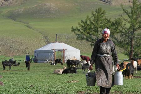 Die Nomaden, die durch die mongolische Steppe ziehen, wohnen in traditionellen Jurten. Es ist ein absolutes Muss, einmal bei...