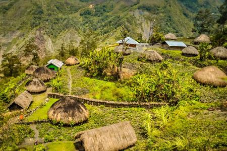 Die Insel Papua überzeugt durch eine landschaftliche Schönheit, die kaum übertroffen werden kann. Die Tropenwälder beherberg...