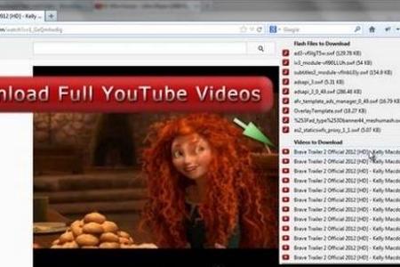 Download Flash and Video - Die gratis Firefox-Erweiterung Download Flash and Video.