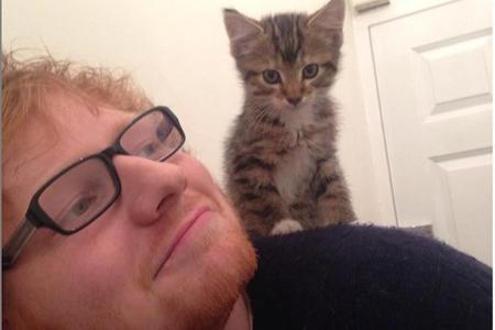 Ed Sheeran war schon immer ein Katzen-Liebhaber. Jetzt hat er seinen beiden Lieblingen Calippo und Dorito sogar einen Instag...