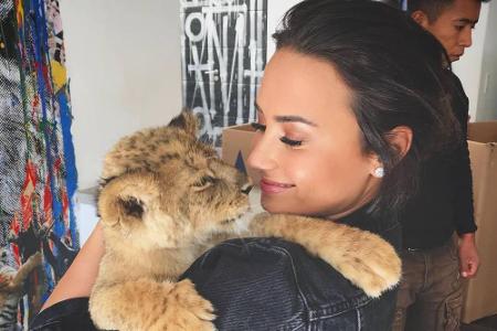 Auch Demi Lovato liebt Katzen in jeder Größe. Ihre eigene Nackt-Katze musste sie allerdings schweren Herzens wieder abgeben....