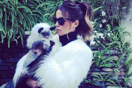 Auch Kate Beckinsale teilt die schönsten Momente mit ihrem Kater Clive auf Instagram. Hier tragen die beiden Partnerlook und...