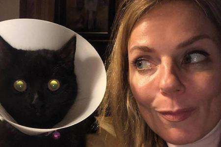 Sängerin Geri Halliwell liebt ihre Katze unglaublich. Doch nachdem die Katze ihr Gesicht bei einem Angriff blutig gekratzt h...
