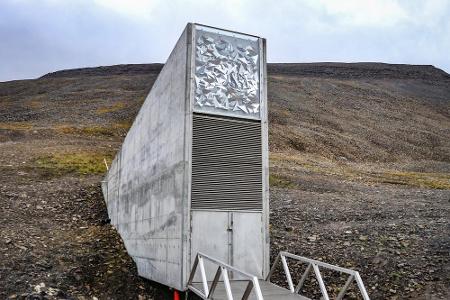 Im Svalbard Global Seed Vault bei Spitzbergen soll die grüne Zukunft der Welt lagern. Kommt es zu schwerwiegenden Umweltkata...