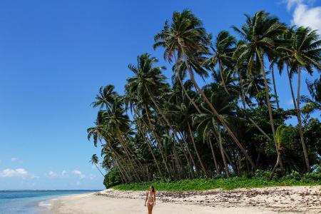 Eine der entlegensten Inseln der Welt hat etwas Unglaubliches zu bieten: Durch die Insel Taveuni verläuft die sogenannte Dat...