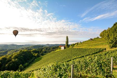 Wer eine Vorliebe für Wein hat, der kommt in Italien auf seine Kosten. 2016 hatte ein Winzer aus den Abruzzen die Idee, Wein...