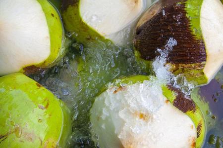Die Kokosnuss ist ein guter Schwimmer - und ein Weltenbummler. Ihre ledrige Außenhaut ist wasserdicht und so kann es vorkomm...