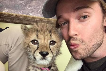 Statt mit einem Hund oder einer Katze zu kuscheln, posieren viele Stars lieber mit exotischen Tieren. Patrick Schwarzenegger...