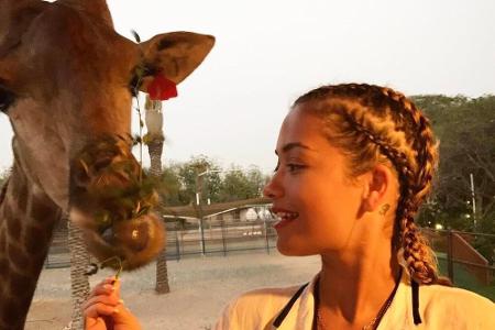 Rita Ora (26) schenkte dieser Giraffe eine rote Blume, die der gefleckte Riese zum Fressen gern hatte.