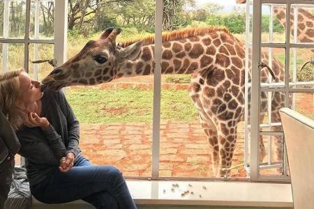 Naomi Watts (49) knutschte auf ihrem Instagram-Schnappschuss gar mit einer Giraffe.