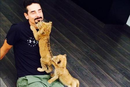 Kevin Richardson (43) von den Backstreet Boys schmuste auf seinem Twitter-Schnappschuss mit kleinen Löwenbabys.