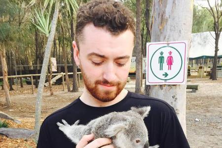 Singer-Songwriter Sam Smith (25) würde das süße Fellknäuel am liebsten mit nach Hause nehmen. 