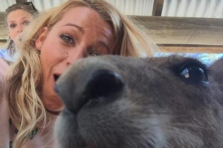 Starselfie: Den Schnappschuss von Schauspielerin Blake Lively (30) und Sängerin Taylor Swift (27) hatte ein Känguru gefotobo...