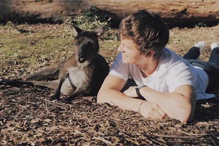 Wie zwei beste Freunde hatten es sich Ansel Elgort (23) und ein Känguru in den wärmenden Strahlen der Sonne auf einer Wiese ...