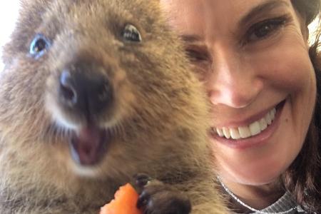 Diese Bilder sind schon Kult: Teri Hatcher (52) hat es auch auf ein Selfie mit einem possierlichen Wombat geschafft.