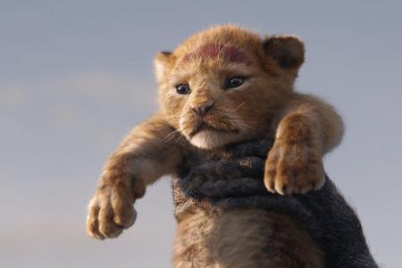 Da wäre allen voran der kleine Simba.
