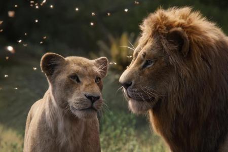 Simba und Nala gibt es auch als ausgewachsene Löwen zu sehen.