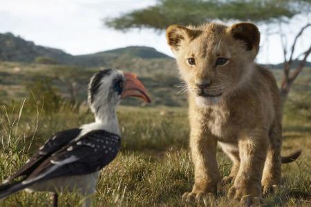 Von klein auf ist Simba von Gefährten umgeben, wie etwa Zazu. Er dient der königlichen Familie.