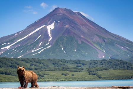 Nach Kamtschatka, mit ihren Braunbären und Vulkanen, kommt man per Flugzeug oder Schiff. Und zwar in die 180.000-Einwohner-S...