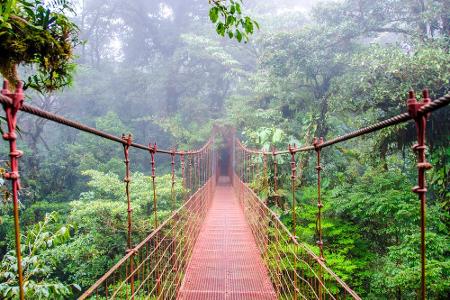 Costa Rica ist eines der schönsten Flecken auf dieser Welt. Die Regenwälder machen ein Viertel der gesamten Landesfläche aus...