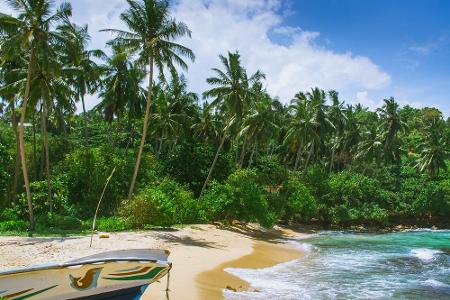 Auf Sri Lanka fühlen sich Dschungelfreunde wohl. Denn hier kann man sogar Elefanten und Jaguare im Nationalpark beobachten. ...