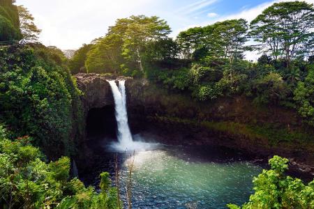 Viele wissen nicht, dass es auf Hawaii auch einen tropischen Regenwald gibt. Die Tiere und Pflanzen, die es auf den hawaiian...