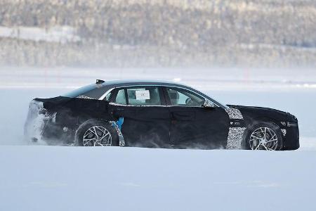 Erlkönig Genesis G90
