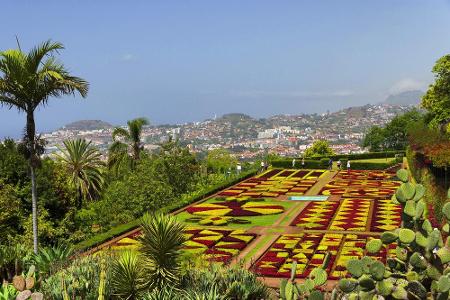 Im Botanischen Garten in Funchal können Besucher die Blumenpracht am eindrucksvollsten bewundern.