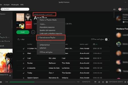 Playlisten gemeinsam mit anderen verwalten