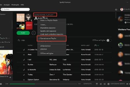 Playlisten gemeinsam mit anderen verwalten